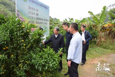 郁南平台镇:做活农村集体经济,蹚出强村富民路径