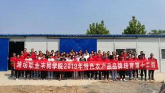 西红柿黄瓜咋种 近300名寿光农民接受专业培训