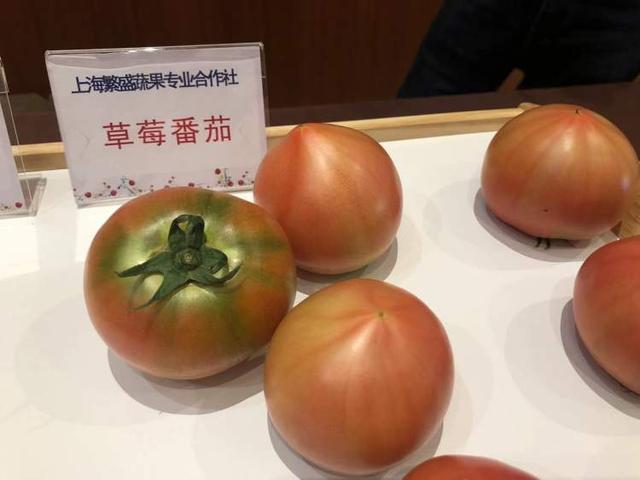 酸酸甜甜，草莓番茄来了！五十五个品种的缤纷盛宴