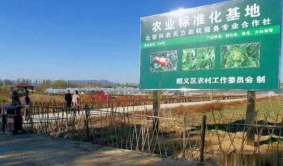 纯天然的蔬果盛宴 蔬果专业合作社的魅力