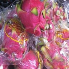 上海晶羽蔬果专业合作社 打造绿色健康的农产品供应链