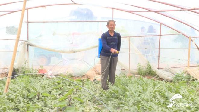 让百姓吃上放心西瓜——平原“北侯西瓜”上市先过“检验”关