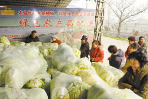 商报社区服务大篷车“年货直通车”开进慈溪，蔬果专业合作社为居民送上新鲜年货