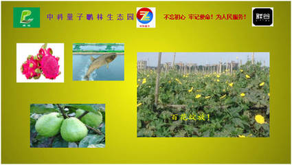 联谷与中科量子鹏林生态园强强联手，蔬果专业合作社谱写民族品牌新篇章