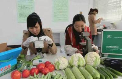 奏响农房改善“奋进曲” 绘就全面小康“风景线”——记蔬果专业合作社的振兴之路