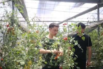 这项国家级荣誉，全省唯一的获得者是咱宜兴人！——记宜兴蔬果专业合作社的非凡成就