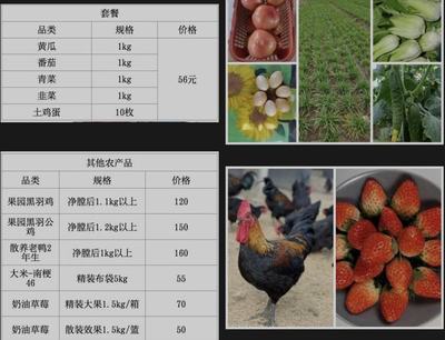 上海医疗机构服务动态与农企社区团购直送，保障民生双线并进