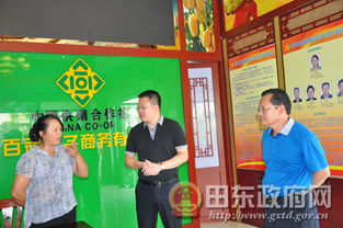 百冠果蔬农民专业合作社党支部成立，党建领航蔬果产业发展新征程